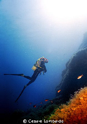 Mediterranean Sea
Pantelleria Island
Vertical
No Strob... by Cesare Lombardo 